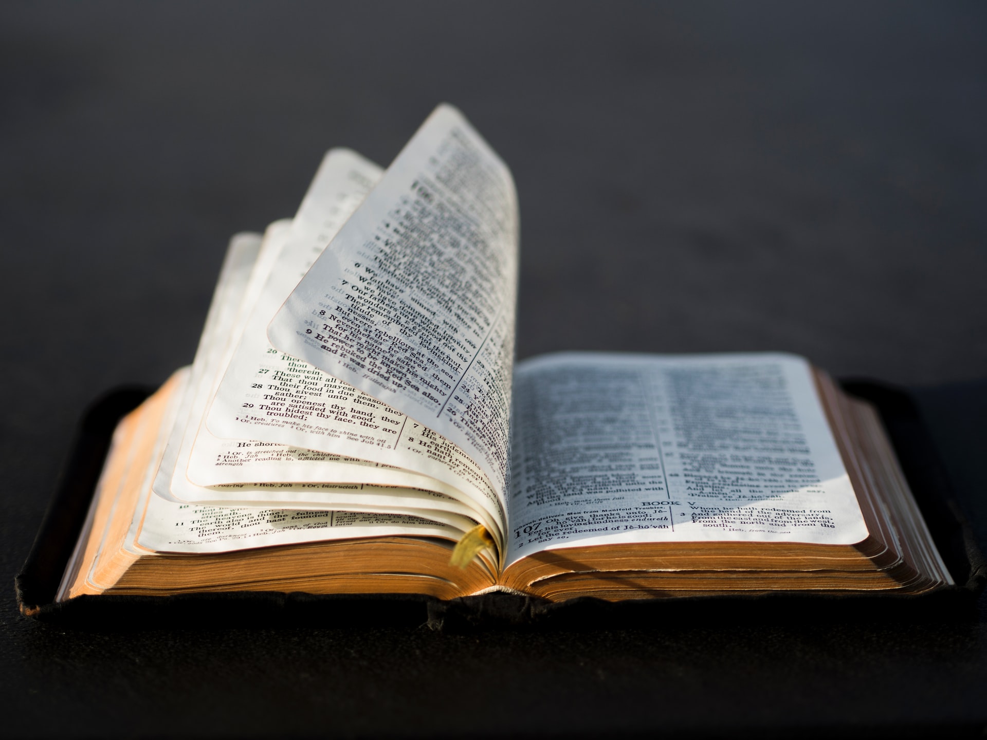 open Bible pages
