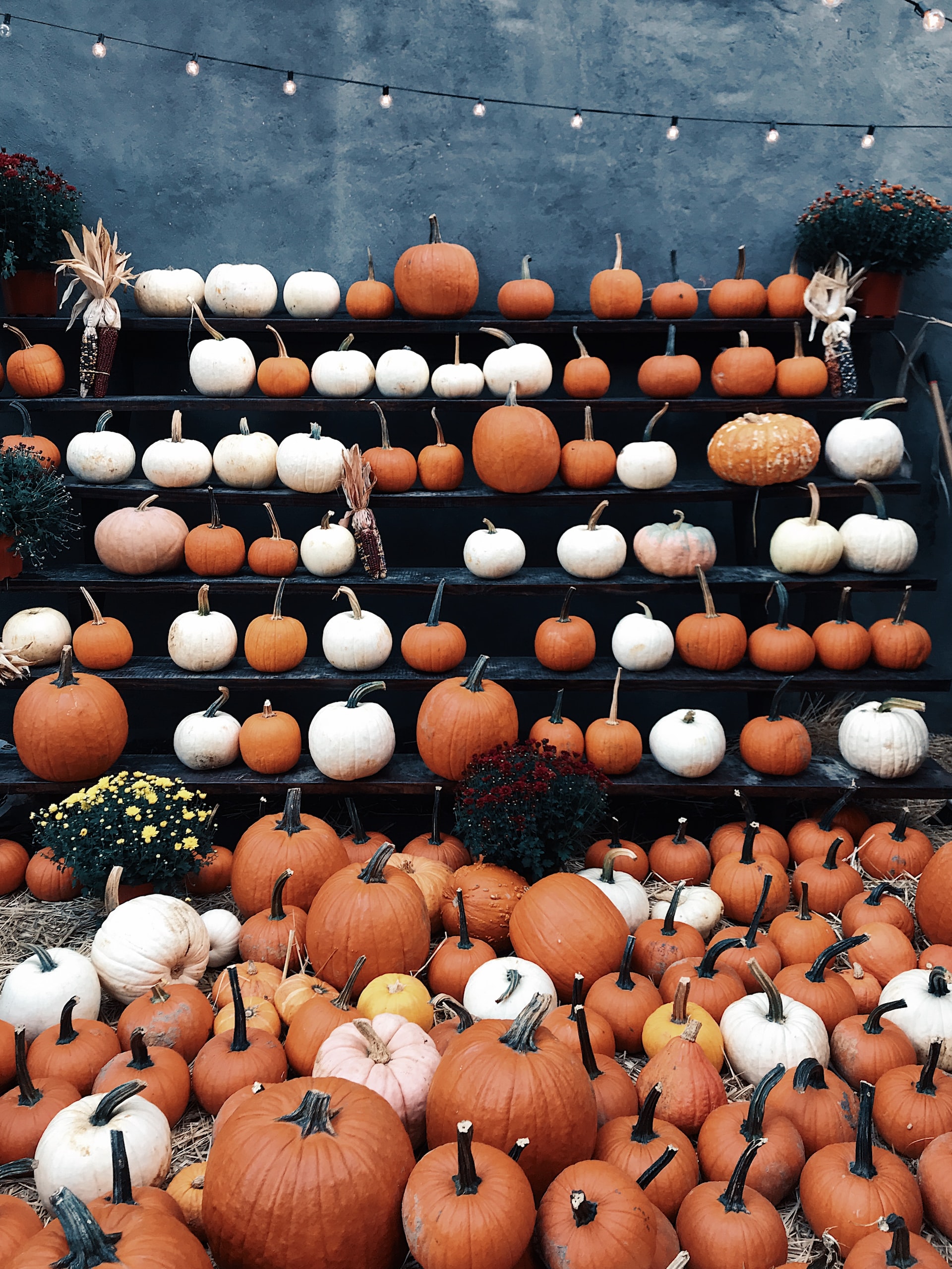 Stake of pumpkins