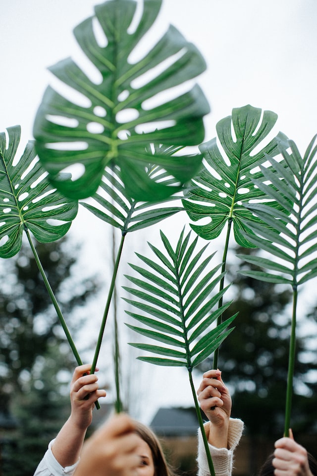 Palm Sunday